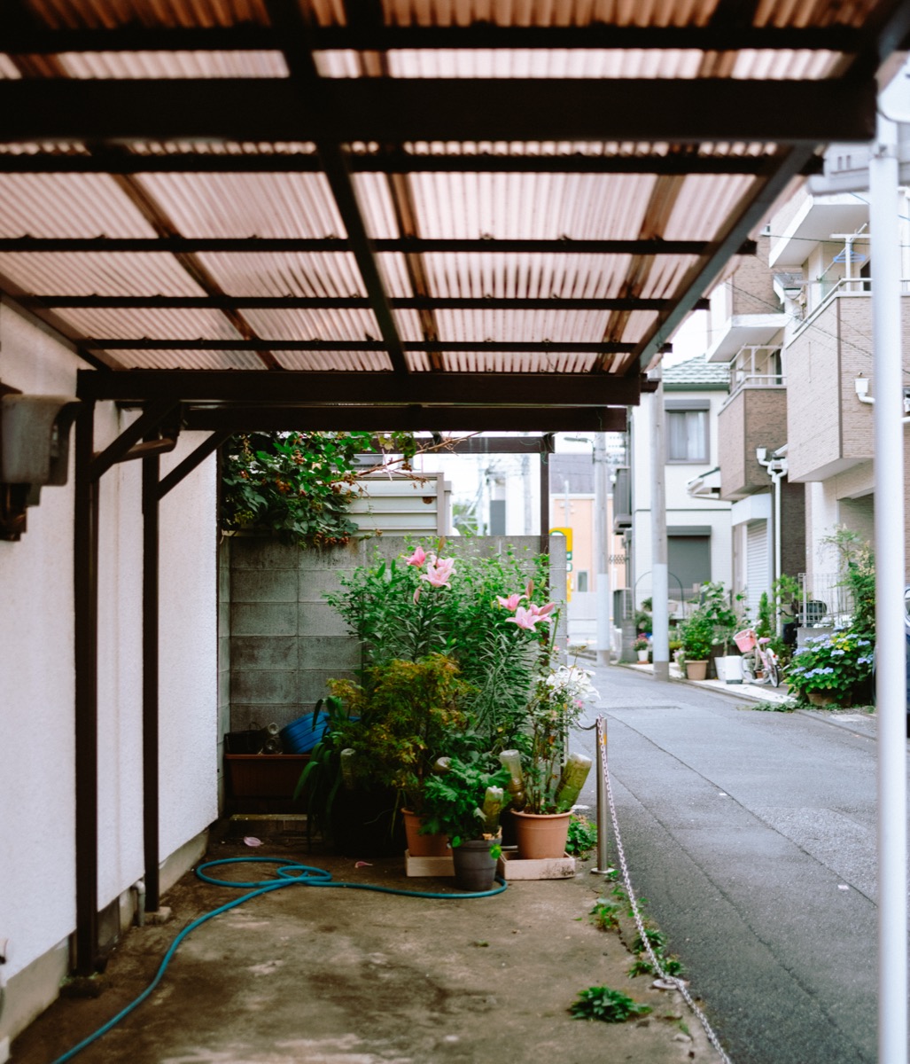 スナップ写真