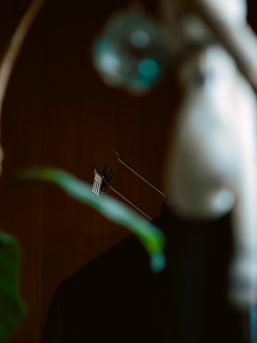 スナップ写真