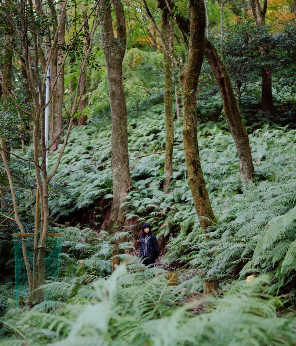 スナップ写真