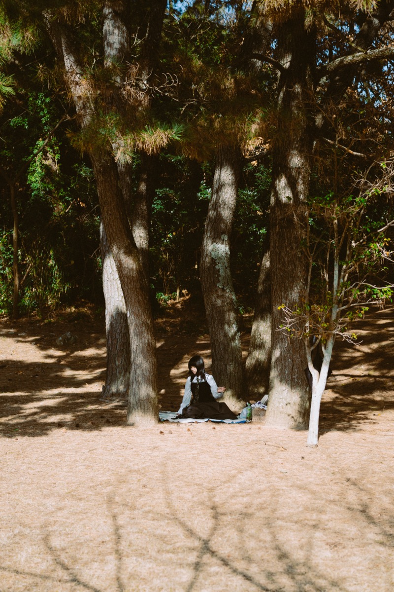 スナップ写真
