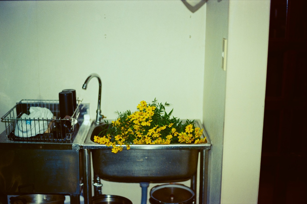 スナップ写真