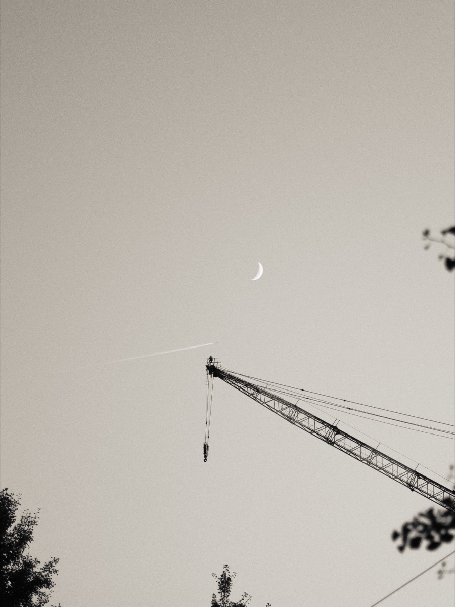 スナップ写真