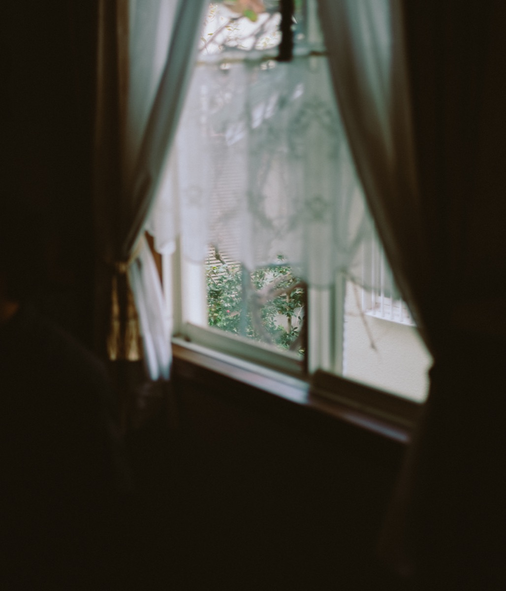 スナップ写真