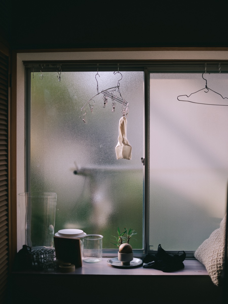 スナップ写真