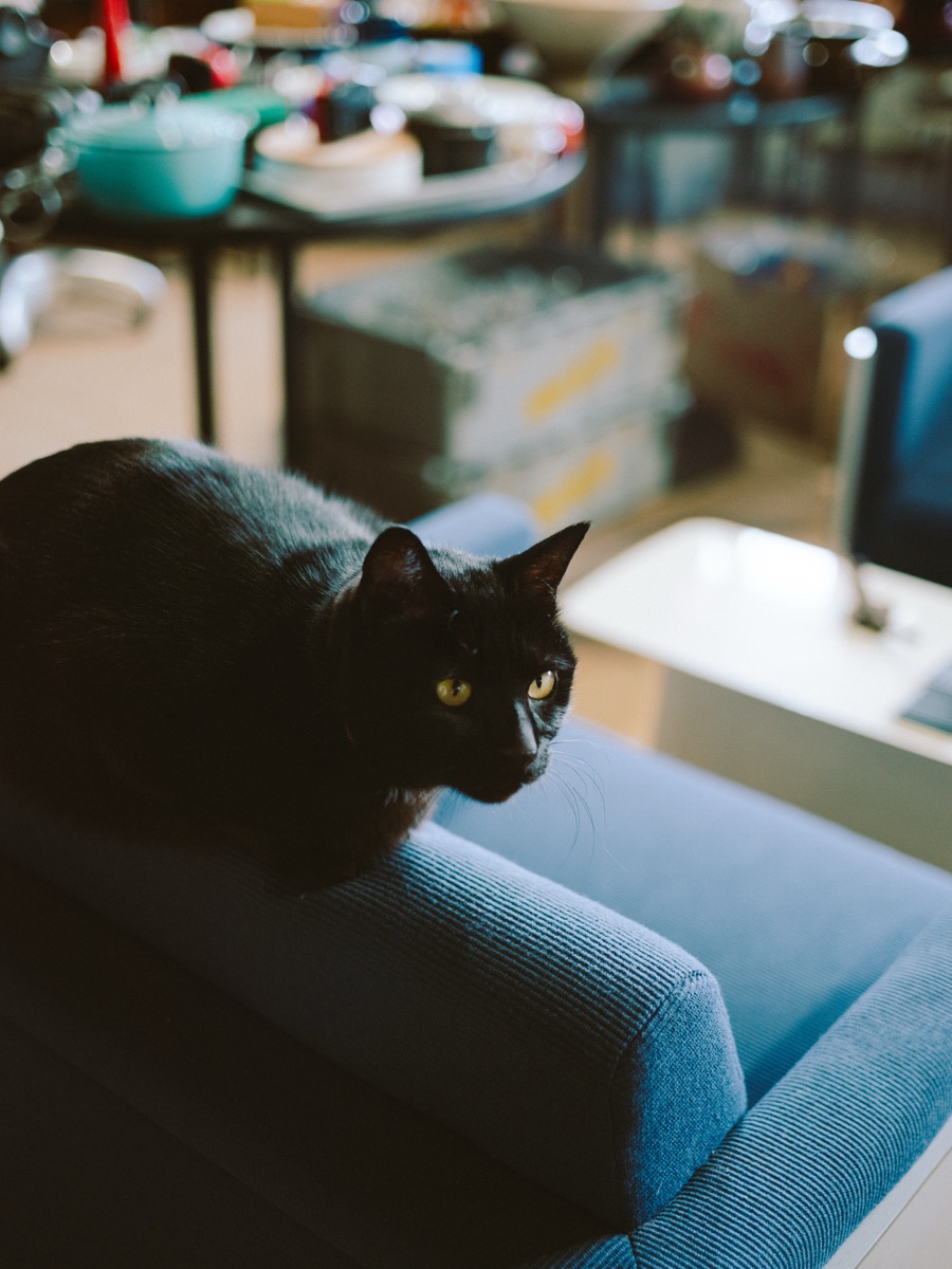 スナップ写真