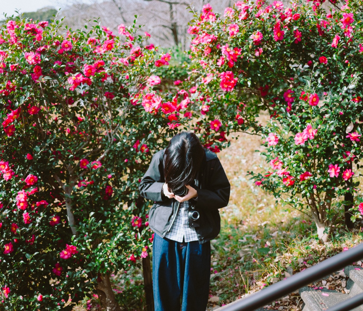スナップ写真